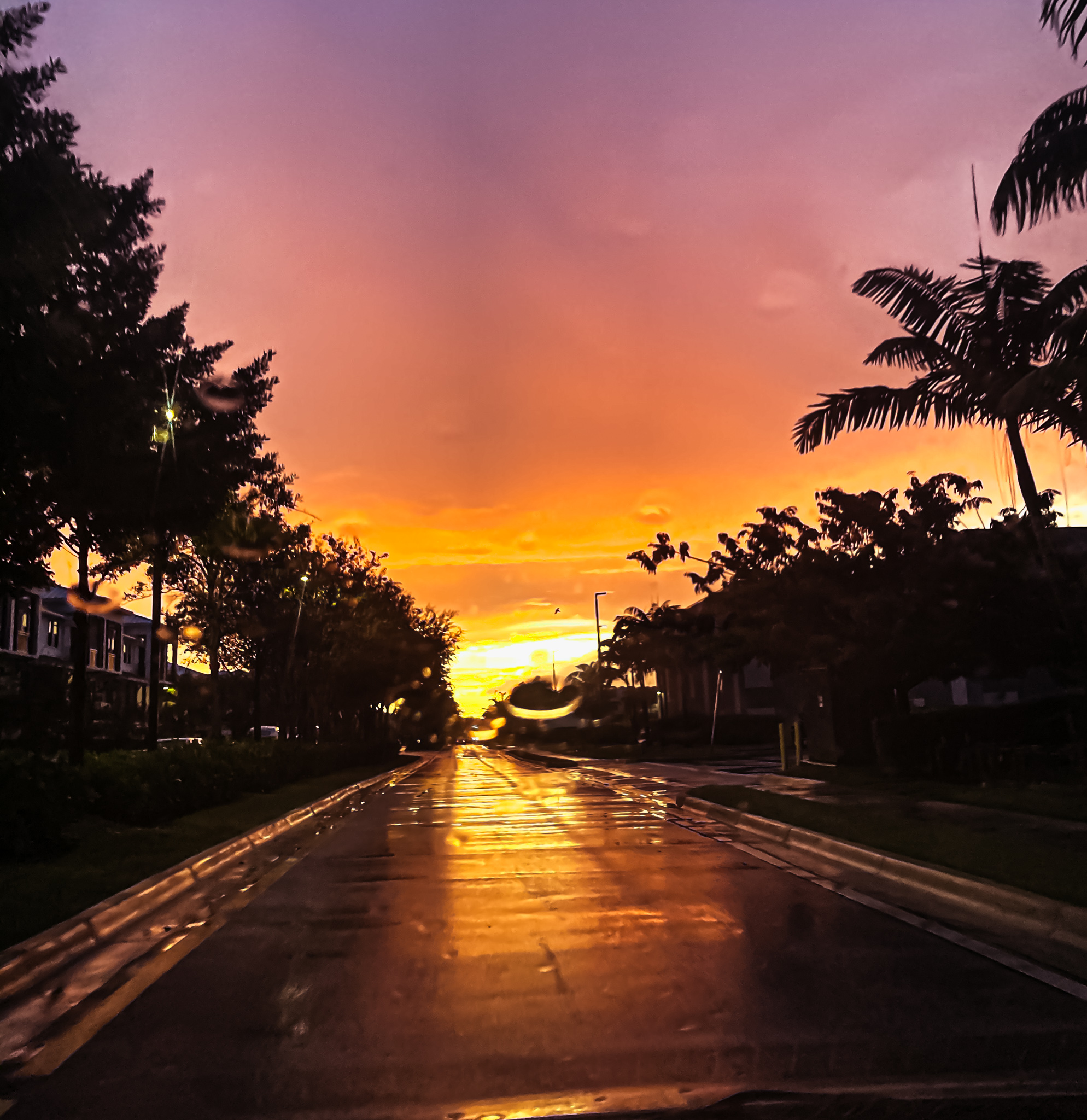 sunset, road