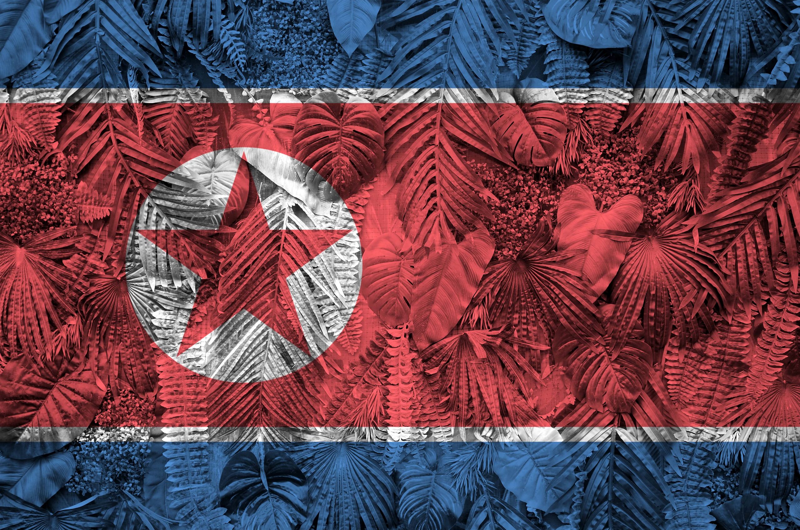 The Korean national flag, known as Taegeukgi, featuring a vibrant design of the yin-yang symbol, four trigrams, and a central red and blue Taegeuk representing balance and harmony.